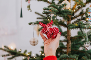 The Artificial Christmas Tree Debate: Politics, Preference, and Eco-friendliness