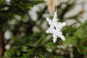The King of Christmas Trees: Why Multi-Color Trees Reign